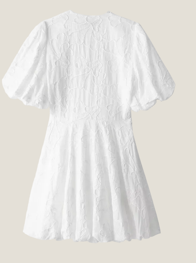 Women's Embroidered Puff Sleeve Mini Dress - Deep V-Neck and Scallop Hem